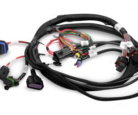 Holley EFI Terminator Main Harness 558-414