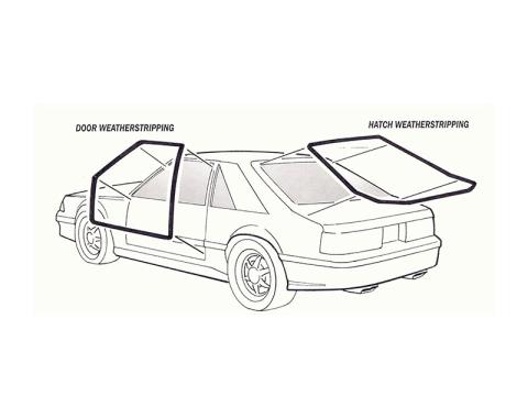 Daniel Carpenter 1979-93 Hatchback Hatch w/s D9ZZ-6143720