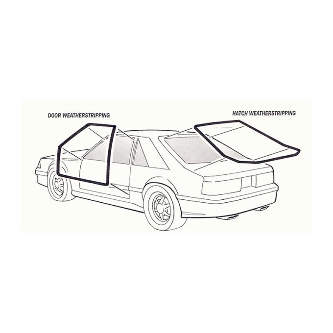 Daniel Carpenter 1979-93 Hatchback Hatch w/s D9ZZ-6143720